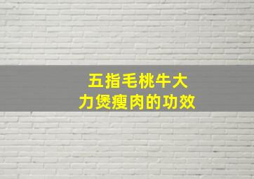 五指毛桃牛大力煲瘦肉的功效