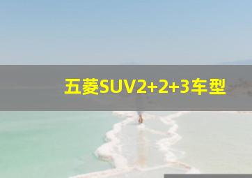 五菱SUV2+2+3车型