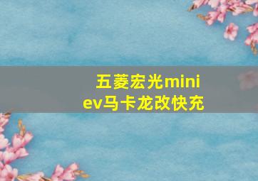 五菱宏光miniev马卡龙改快充