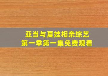 亚当与夏娃相亲综艺第一季第一集免费观看