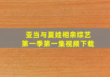 亚当与夏娃相亲综艺第一季第一集视频下载