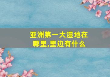 亚洲第一大湿地在哪里,里边有什么