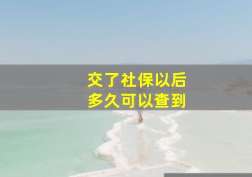 交了社保以后多久可以查到