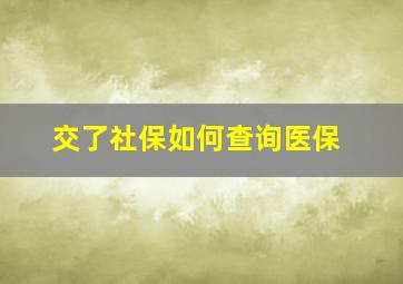 交了社保如何查询医保