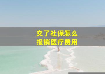 交了社保怎么报销医疗费用