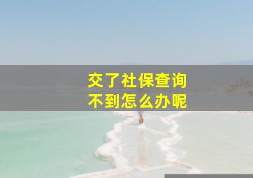 交了社保查询不到怎么办呢