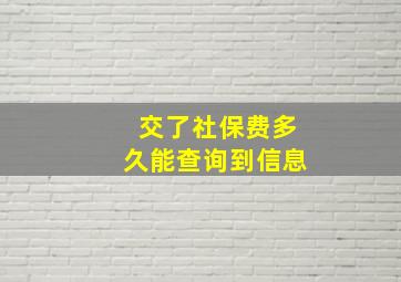 交了社保费多久能查询到信息