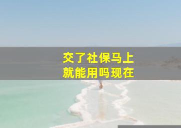 交了社保马上就能用吗现在