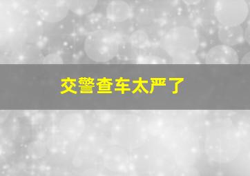 交警查车太严了