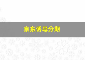 京东诱导分期