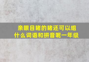 亲眼目睹的睹还可以组什么词语和拼音呢一年级