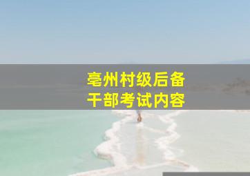 亳州村级后备干部考试内容