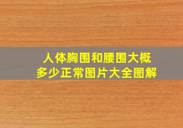 人体胸围和腰围大概多少正常图片大全图解