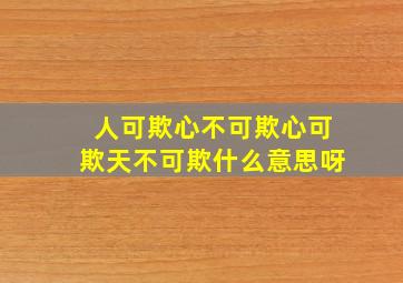 人可欺心不可欺心可欺天不可欺什么意思呀