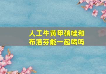 人工牛黄甲硝唑和布洛芬能一起喝吗