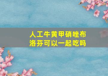 人工牛黄甲硝唑布洛芬可以一起吃吗