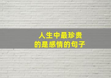 人生中最珍贵的是感情的句子