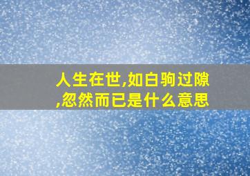 人生在世,如白驹过隙,忽然而已是什么意思