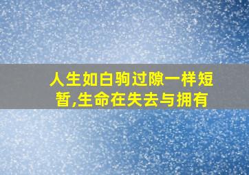 人生如白驹过隙一样短暂,生命在失去与拥有