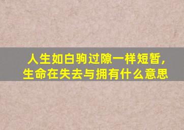 人生如白驹过隙一样短暂,生命在失去与拥有什么意思