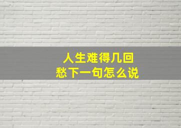 人生难得几回愁下一句怎么说