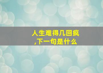 人生难得几回疯,下一句是什么