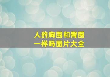 人的胸围和臀围一样吗图片大全