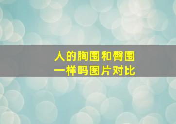 人的胸围和臀围一样吗图片对比