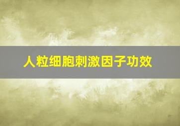 人粒细胞刺激因子功效