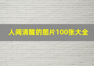 人间清醒的图片100张大全