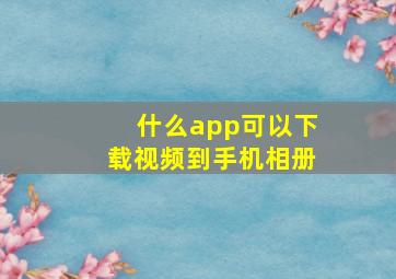 什么app可以下载视频到手机相册