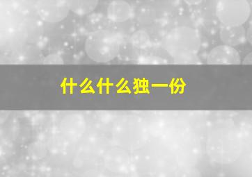 什么什么独一份