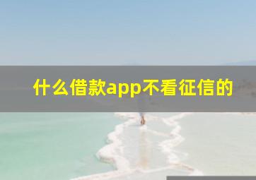 什么借款app不看征信的