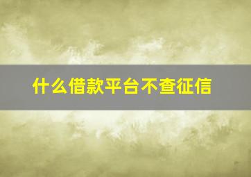 什么借款平台不查征信