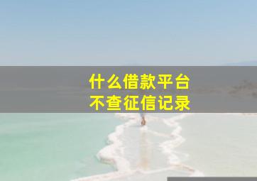 什么借款平台不查征信记录