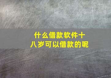 什么借款软件十八岁可以借款的呢