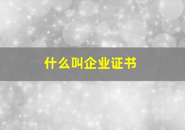 什么叫企业证书