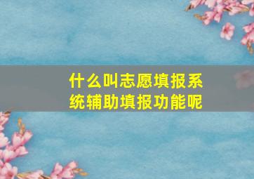 什么叫志愿填报系统辅助填报功能呢