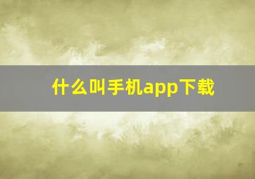 什么叫手机app下载