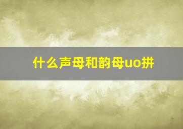 什么声母和韵母uo拼