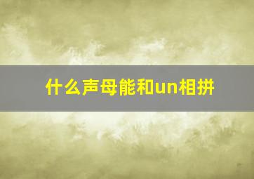 什么声母能和un相拼