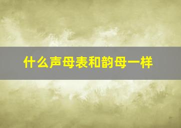 什么声母表和韵母一样