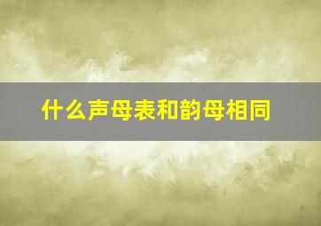 什么声母表和韵母相同