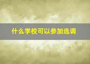 什么学校可以参加选调