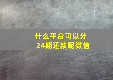 什么平台可以分24期还款呢微信