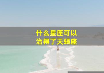 什么星座可以治得了天蝎座