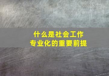 什么是社会工作专业化的重要前提