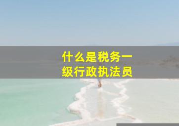 什么是税务一级行政执法员