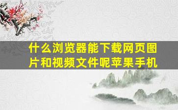 什么浏览器能下载网页图片和视频文件呢苹果手机