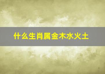 什么生肖属金木水火土